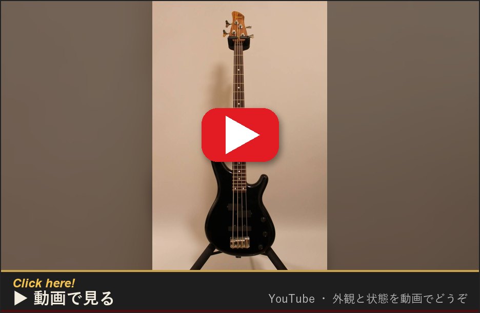 動画で見る(YouTube)
