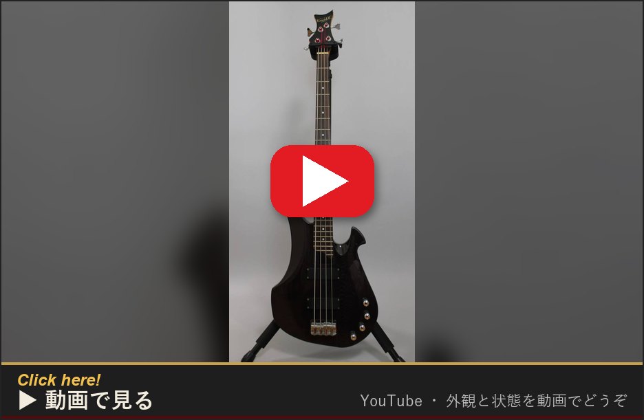 動画で見る(YouTube)