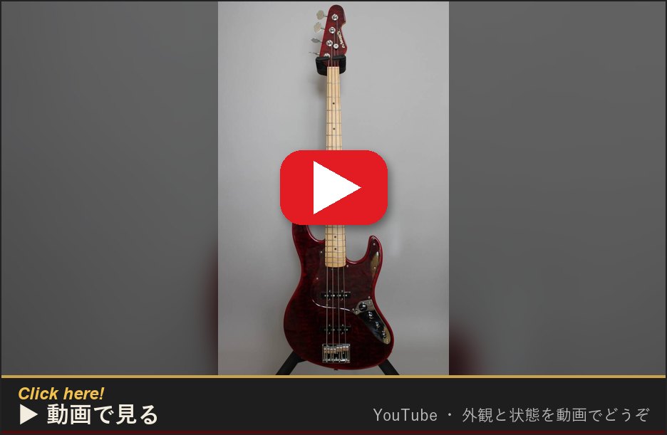 動画で見る(YouTube)