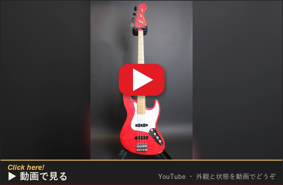動画で見る(YouTube)