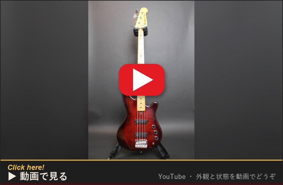 動画で見る(YouTube)
