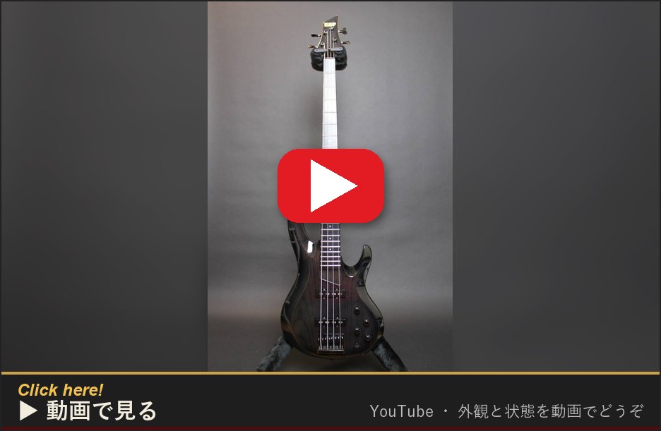 動画で見る(YouTube)
