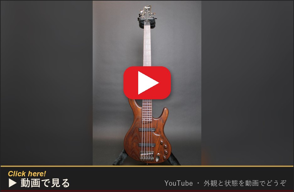 動画で見る(YouTube)