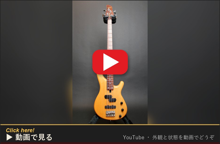 動画で見る(YouTube)